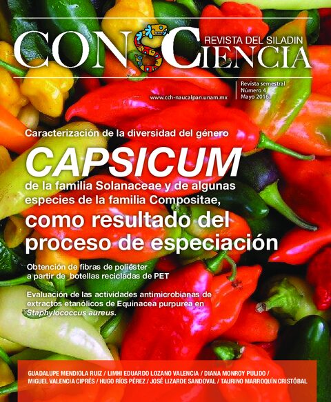 Portada de ConsCiencia 4
