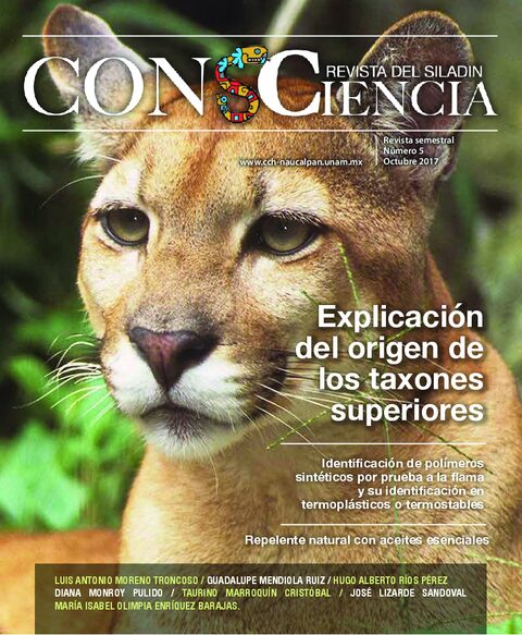 Portada de ConsCiencia 5