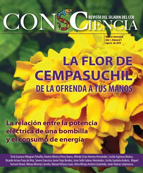 Portada de La flor de Cempasuchil